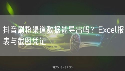 抖音刷粉渠道数据能导出吗？Excel报表与截图凭证