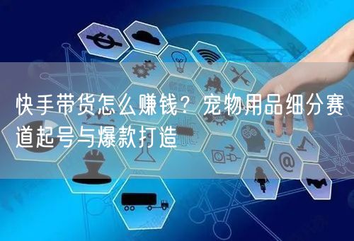 快手带货怎么赚钱？宠物用品细分赛道起号与爆款打造