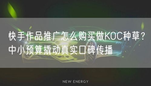 快手作品推广怎么购买做KOC种草？中小预算撬动真实口碑传播