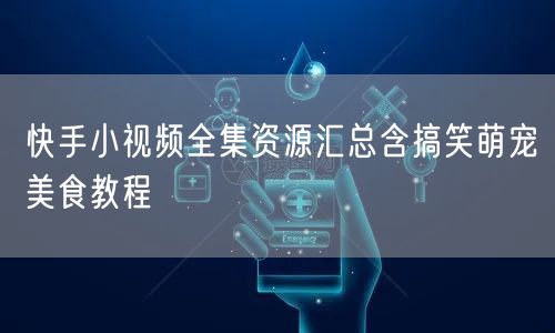 快手小视频全集资源汇总含搞笑萌宠美食教程