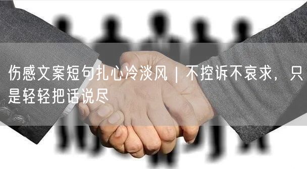 伤感文案短句扎心冷淡风｜不控诉不哀求，只是轻轻把话说尽