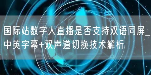 国际站数字人直播是否支持双语同屏_中英字幕+双声道切换技术解析