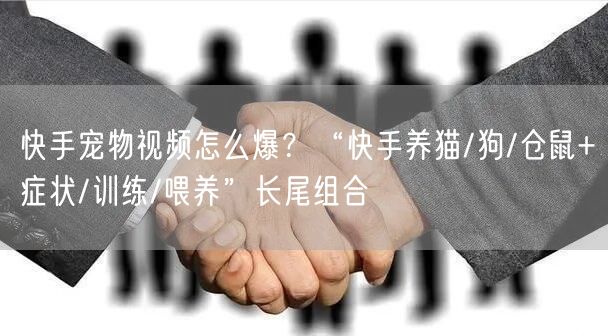 快手宠物视频怎么爆？“快手养猫/狗/仓鼠+症状/训练/喂养”长尾组合