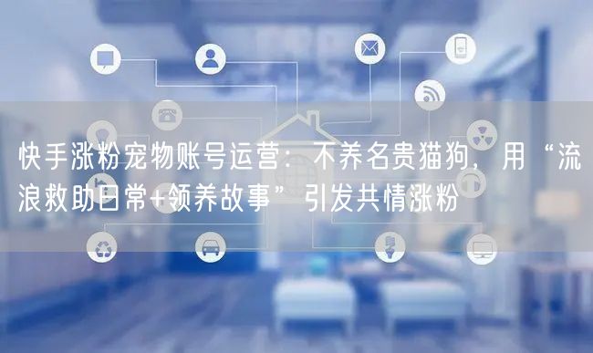 快手涨粉宠物账号运营：不养名贵猫狗，用“流浪救助日常+领养故事”引发共情涨粉
